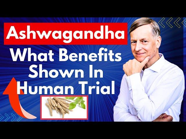 8 Weeks of Ashwagandha. This is What Happened.