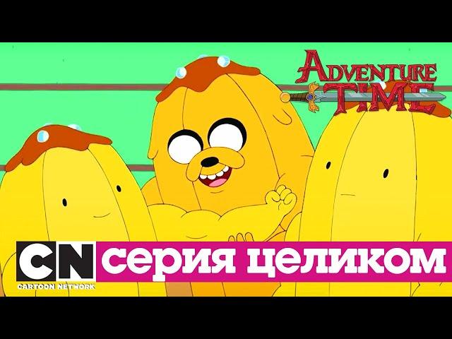 Время приключений | Тонкая желтая линия + Сломал свою корону (серия целиком) | Cartoon Network