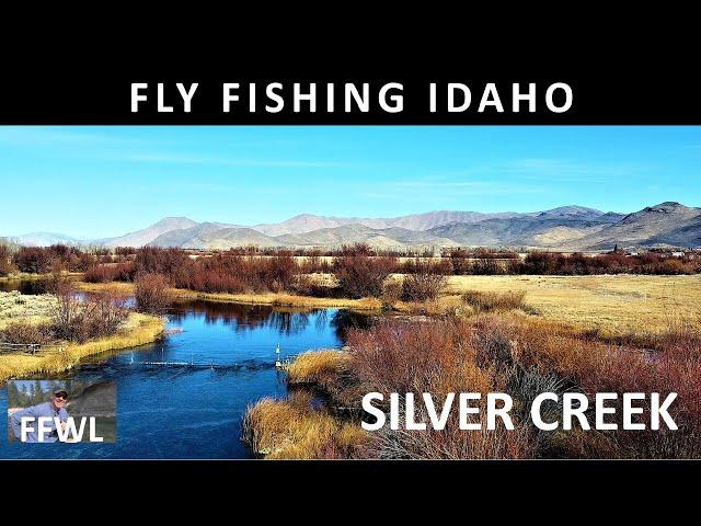 Fly Fishing Idaho's Silver Creek Upper Section in October [Episode #103]