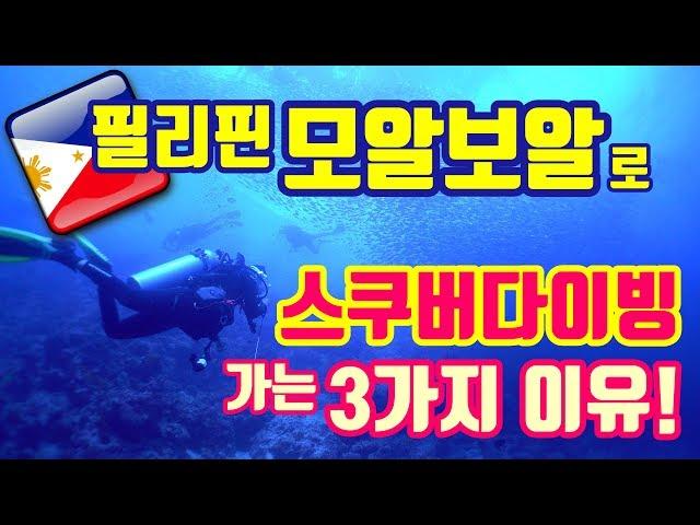 필리핀 모알보알 스쿠버다이빙 여행을 가야하는 3가지 이유! [MOALBOAL in PHILIPPINE] 다이브몬스터