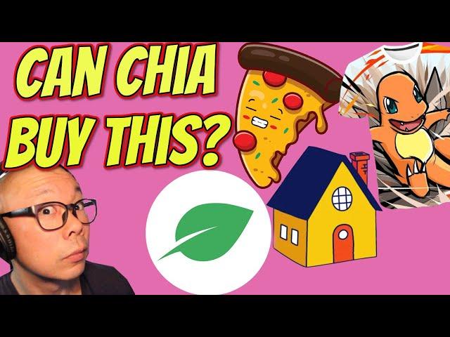 What can Chia XCH really buy?