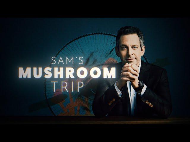 Neuroscientist describes his mushroom trip