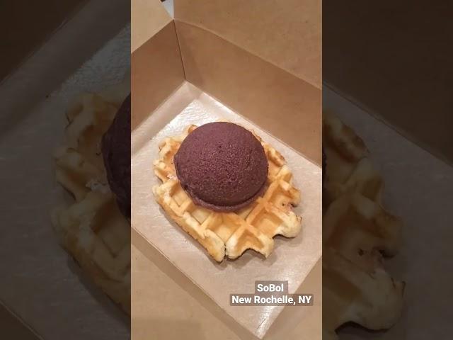 Acai Belgian Waffle from SoBol in New Rochelle, NY