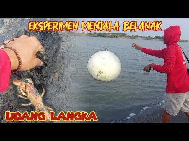 Eksperimen Menjala Ikan Belanak Pakai Umpan Gethuk Dapat UDANG LANGKA