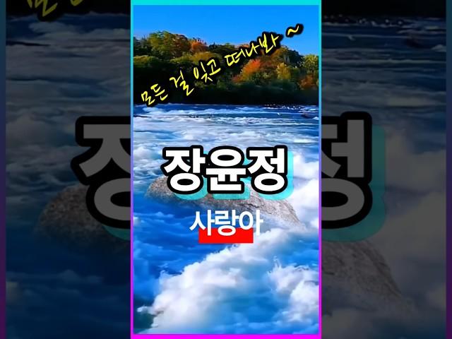 #장윤정 #사랑아 #장윤정사랑아 #장윤정노래 #장윤정노래모음