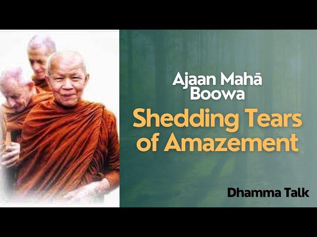 Shedding Tears In Amazement | Dhamma Talk Ajahn Maha Boowa