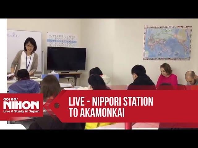 Japanese Lessons at Akamonkai Language School - Go! Go! Nihon Live Show