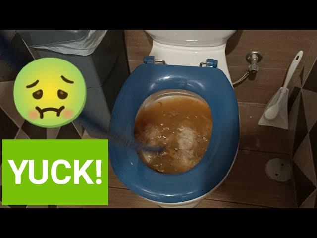 Blocked Drain 14 | DISGUSTING Blocked Toilet -  How to UNCLOG a Toilet