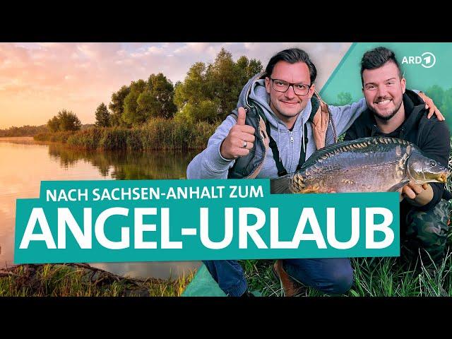 Angel-Urlaub mit Forelle, Karpfen und Zander | ARD Reisen