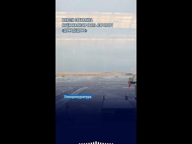 Власти собрались национализировать аэропорт «Домодедово»