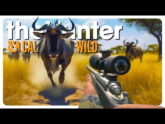 VURHONGA SHOWDOWN: Epic 60-Minute Species Sprint with @Gruntly ! | theHunter: Call of the Wild