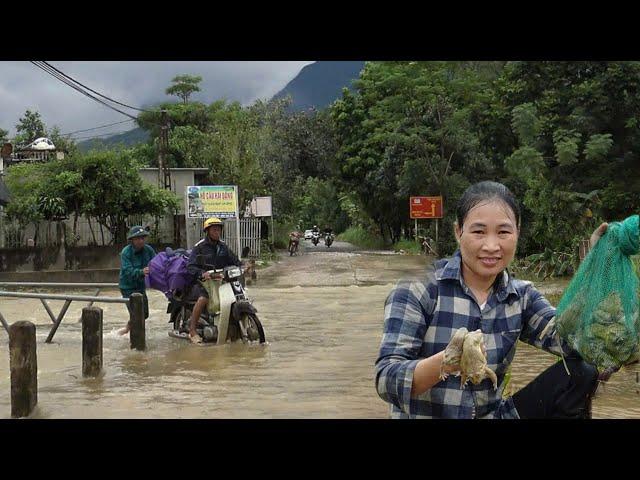 Heavy rain - catching frogs in the field. Kind man helps Linh Ca