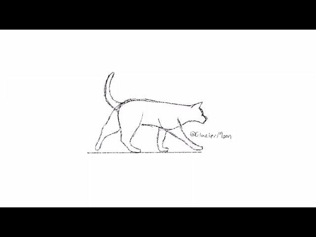 Another Walk Cycle Attempt But This Time I Used An Actual Cat For A Reference