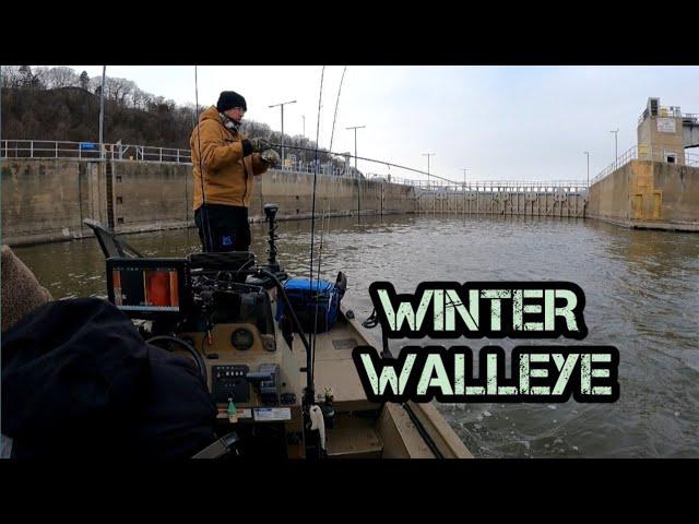 Jigging for Winter Walleye at the Dam!! (Mississippi River)