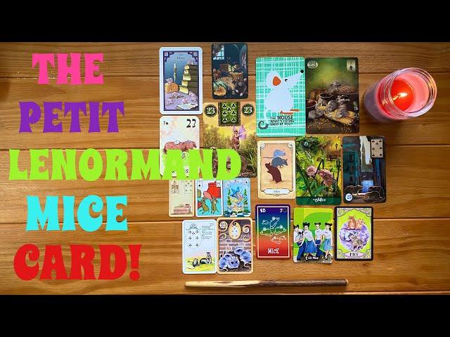 Everything you need to know about the Petit Lenormand Mice Card!