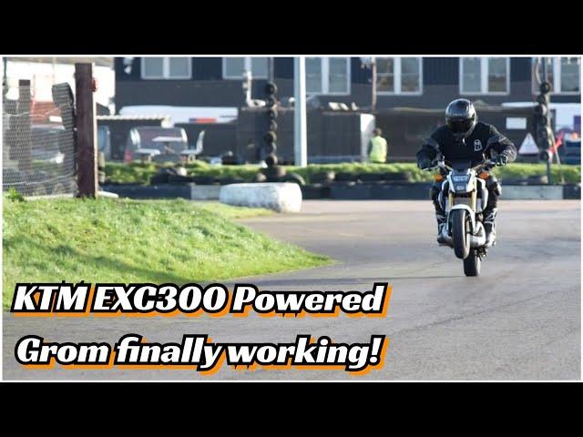 Crazy engine swapped Honda Grom finally hits the track - KTM EXC300 2 stroke replaces the 125cc 4T