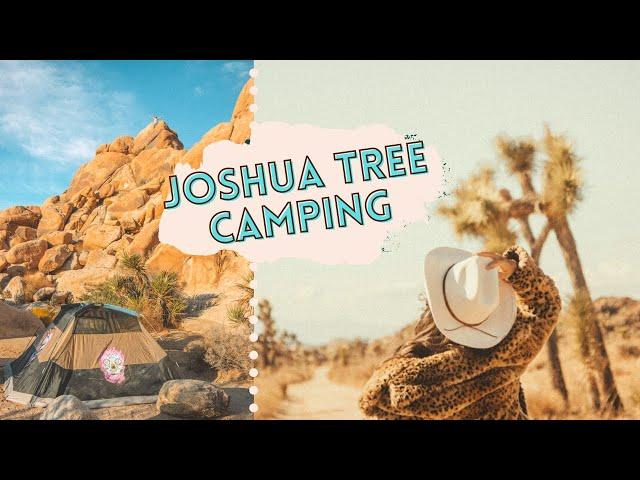 Joshua Tree Camping INDIAN COVE CAMPGROUND FULL TOUR | joshua tree national park camping vlog