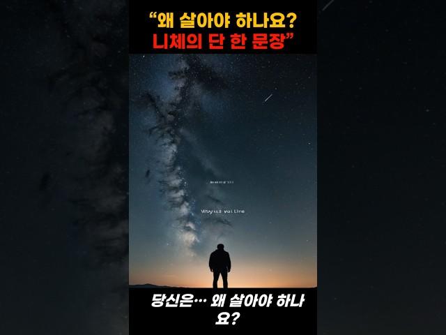 니체의 한마디