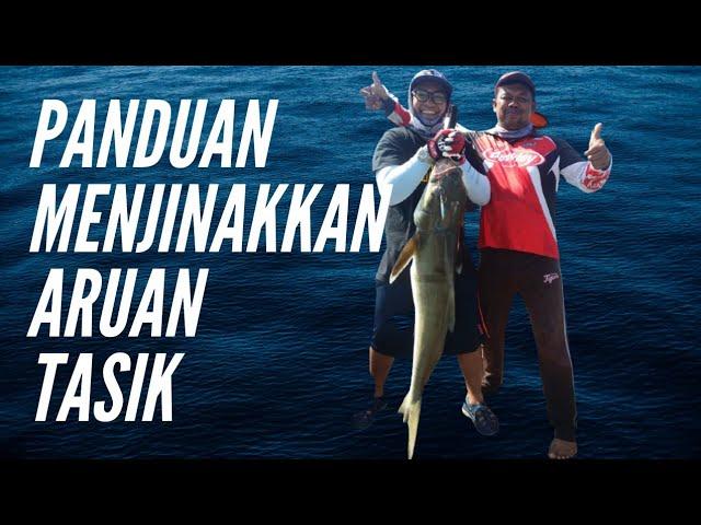 JIGGING COBIA ARUAN TASIK PDCORNIA 18KG : LETIH BANG NAK ANGKAT