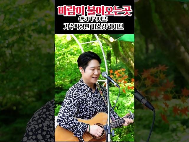 [ 현장직캠 ] "바람이 불어 오는 곳 (원곡 김광석) #김광석 #바람이불어오는곳 #통기타 #통기타라이브 #박성현 #꽃길인생 #김광석노래모음 #포크송