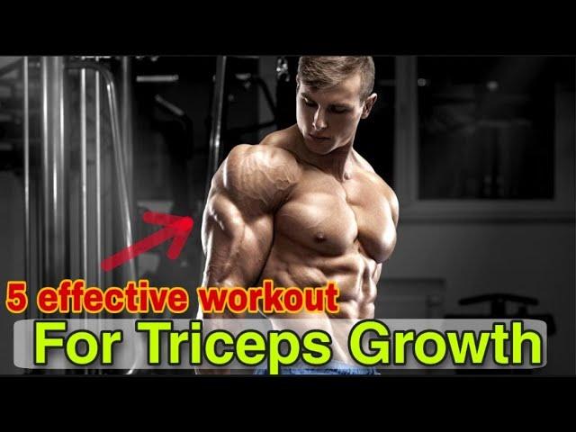 5 effective workout for triceps growth..  ||SN Fitness Media|| #fitness #workout  #viral #interview