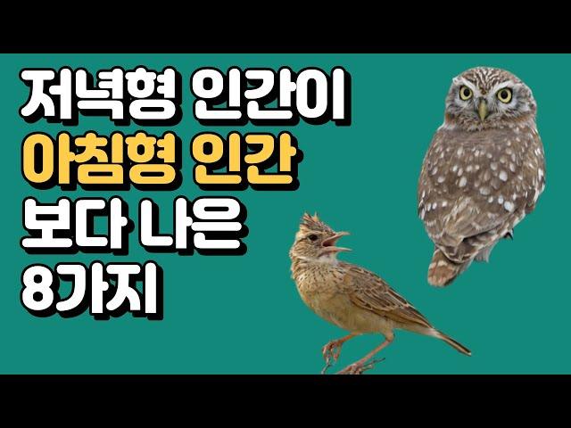 저녁형 인간이 아침형 인간보다 나은 8가지  #연구결과