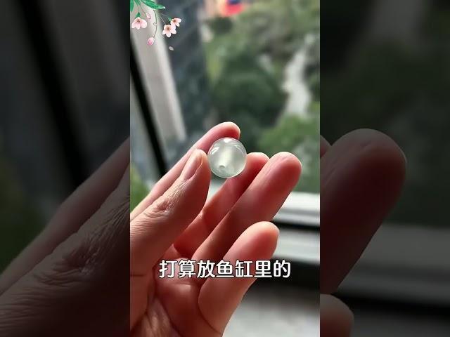 翡翠 珠寶直播 ：剩的一些小珠子，打算放魚缸里的，可師傅覺得太浪費了，最終設計了這款手鐲。這個設計還真是巧妙，現在有看上的朋友嗎？#翡翠首飾 #手鐲 #翡翠直播 #翡翠 #珠宝 #珠寶 #翡翠珠寶