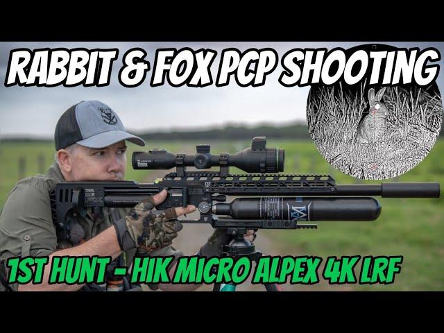 FX Impact M3 .22 Cal & 1st Hunt HIK Micro Alpex 4K LRF || Rabbit Cull || Bonus PCP Rifle Shot Foxes