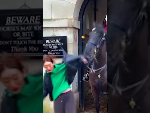 Лошадь напала и порвала  #animals #animalsvideo