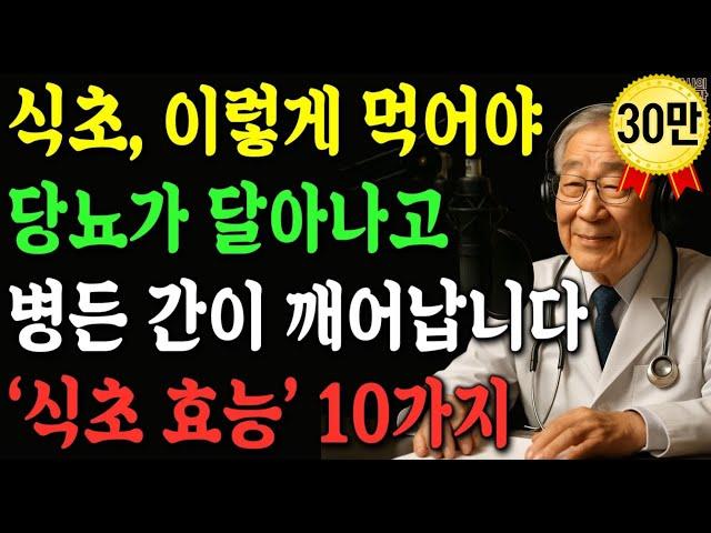 보약보다 대단한 ‘식초’, 간과 혈관 건강 비법 10가지 알려 드립니다｜노후사연｜오디오북｜삶의지혜 | 보이는라디오