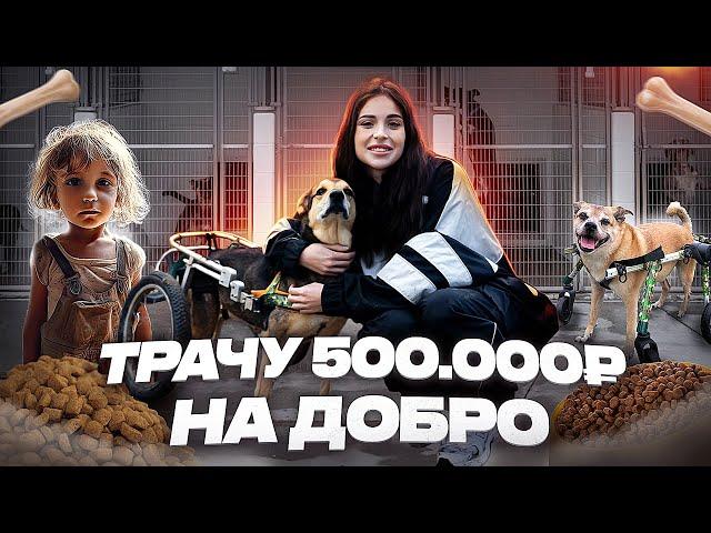 ТРАЧУ 500.000₽ НА ДОБРО // ДЕТСКИЙ ЦЕНТР, ПРИЮТ ДЛЯ ЖИВОТНЫХ