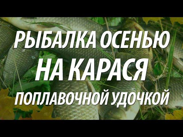 РЫБАЛКА НА КАРАСЯ ОСЕНЬЮ НА ПОПЛАВОЧНУЮ УДОЧКУ