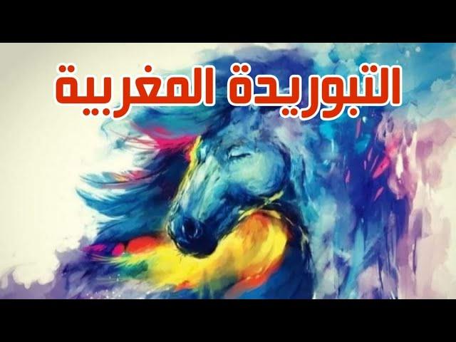 تاريخ التبوريدة المغربية عشاق الخيل والبارود فن التبوريدة  وعلاقة ملوك دولة العلوية بالخيل