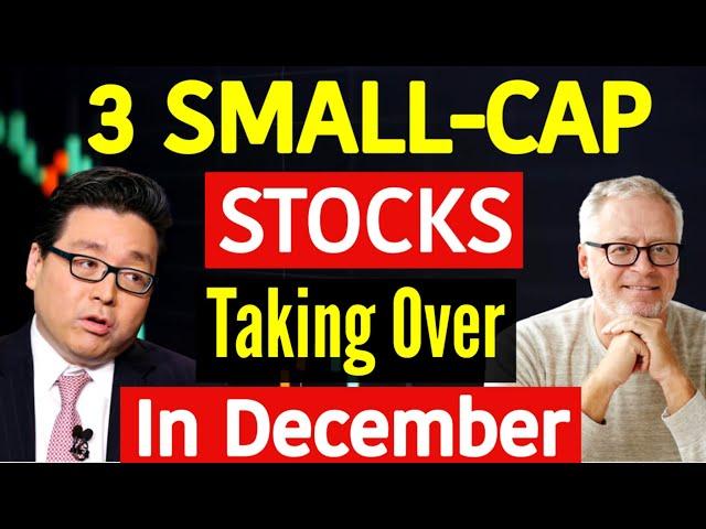 Tom Lee: 3 Mega-Cheap Small-Cap Stocks to Consider in December!