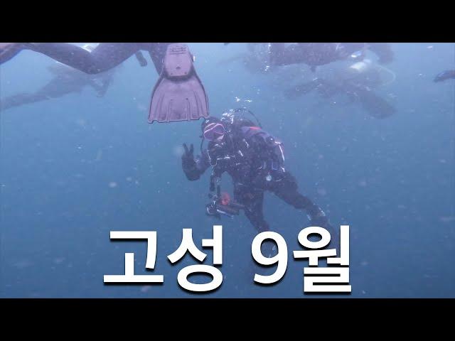 고성 9월 다이빙 (로맨틱 다이브 센터 & 리조트, 마르세유/베니스)