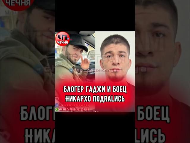 ️Гаджи Гаджиев и Никархо подралiсь в спортзале. Продолжение у нас в телеграмме ЧП Чечня