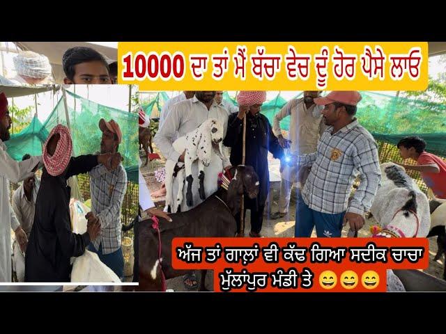 10000 ਦਾ ਬੱਚਾ ਮਗਰ ਬੱਕਰੀ ਦੇ ਸੌਦਾ ਫਸ ਜਾਣਾ ਸੀ ਸਦੀਕ ਚਾਚੇ ਤੋ ll MULLNAPUR MELA ll #iltilanatv #punjabi