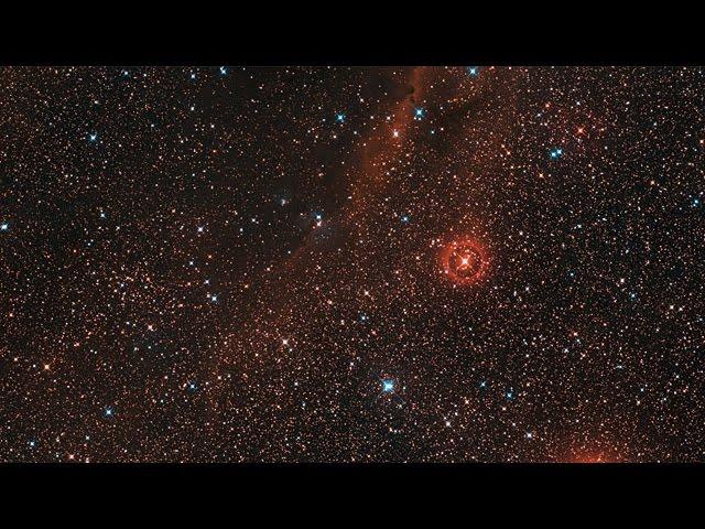 Zooming in on the red hypergiant star VY Canis Majoris