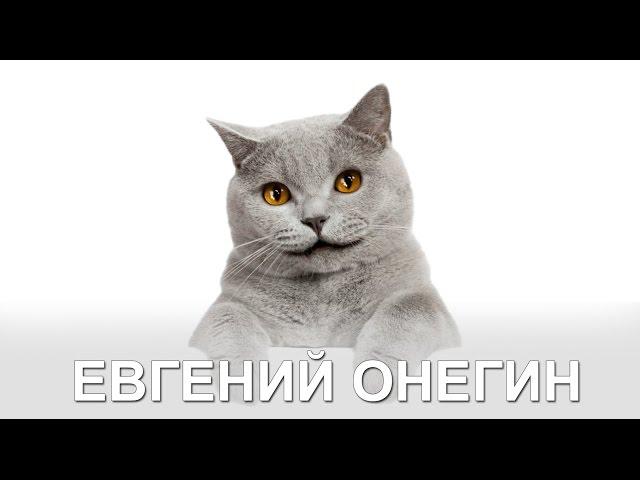 Александр Пушкин - Евгений Онегин