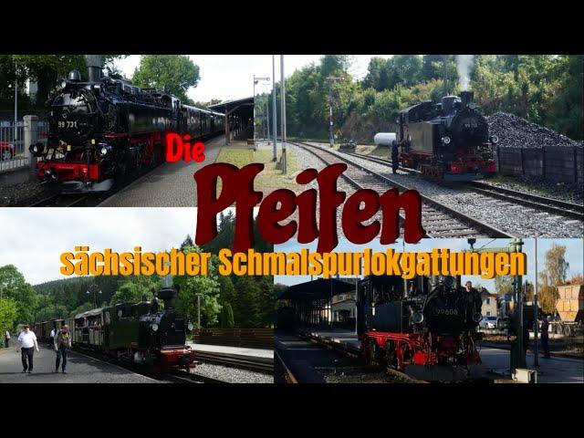 PFEIFEN | von sächsischen Schmalspurlokgattungen | I K, IV K, VI K, VII K | Short