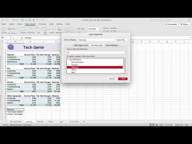 Tech Genie Project: Excel