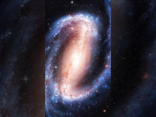 THE UNIVERSE IS MADE UP OF STORIES NOT JUST OF ATOMS