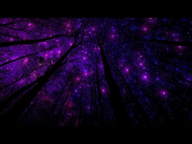  Space Ambient Music | Starry Night Deep Relaxation