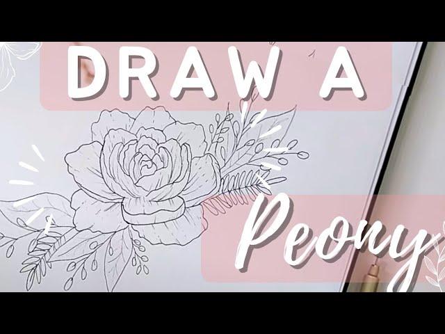 Draw Easy Peonies in Just 5 Minutes | Beginner-Friendly Tutorial