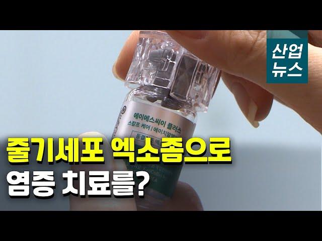 재생 에스테틱 효자손 '엑소좀' 탄생시킨 줄기세포 기업_산업뉴스[산업방송 채널i]