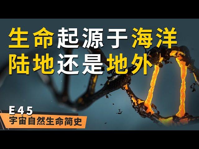 我从哪来 丨 《宇宙自然生命简史》第四十五集：生命到底来源于何方？陆地？海洋？外星？