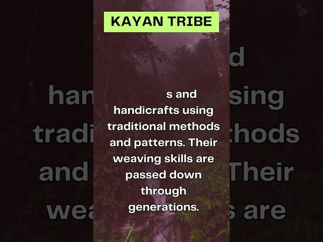 Kayan: Exploring the Traditions of Myanmar and Thailand #shorts #KayanTribe #thaiheritage