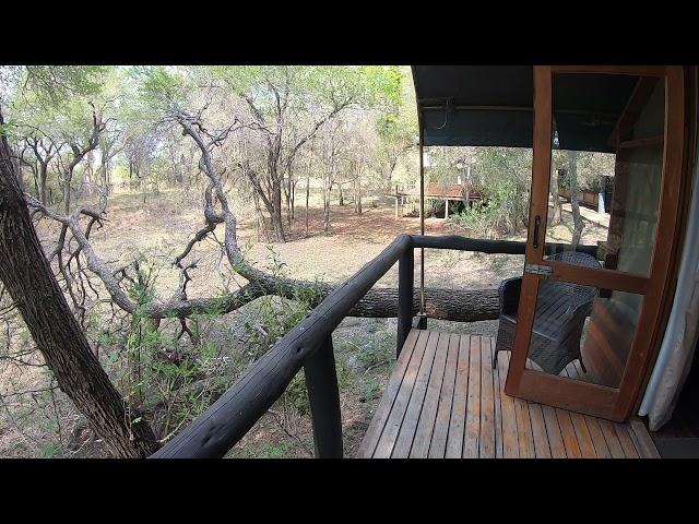 Ndzhaka Tented Camp, Manyeleti Game Reserve.