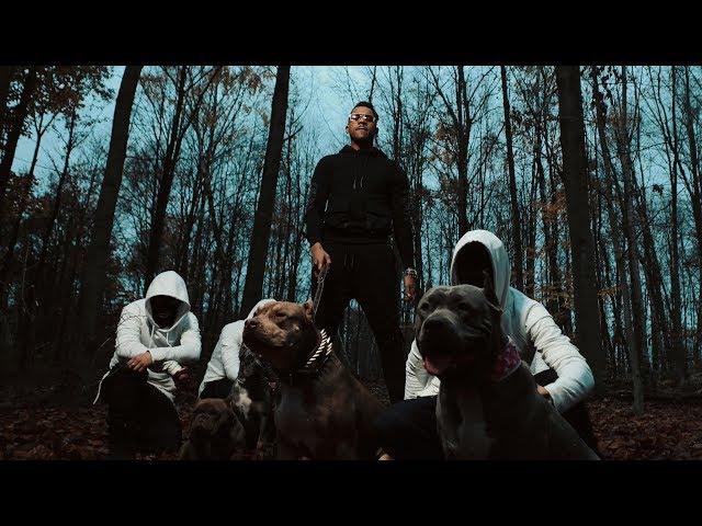 Timal - La 12 (Clip Officiel)