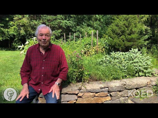 Jacques Pépin's Home Garden | Jacques Pépin Cooking At Home | KQED